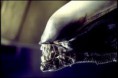/album/photo-dalien/jpeg4/
