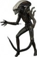 /album/photo-dalien/ppp-jpeg1/